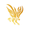 SN CyberCore